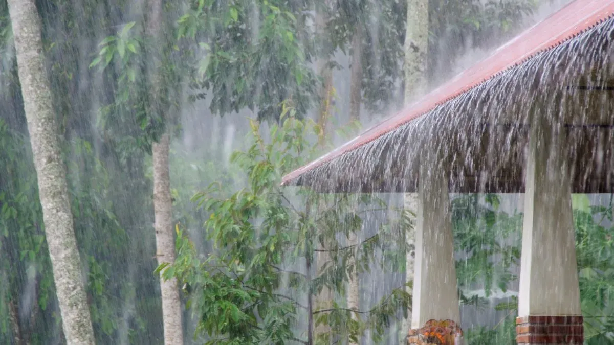 weather-update-heavy-rain-likely-in-andhra-telangana-till-july-19-red-alert-for-these-states-check-imd-forecast